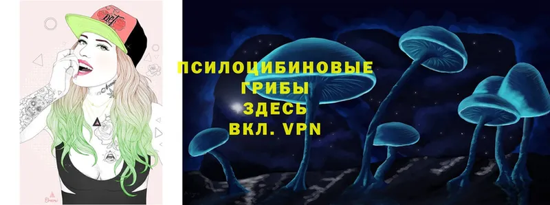 Галлюциногенные грибы прущие грибы  Весьегонск 